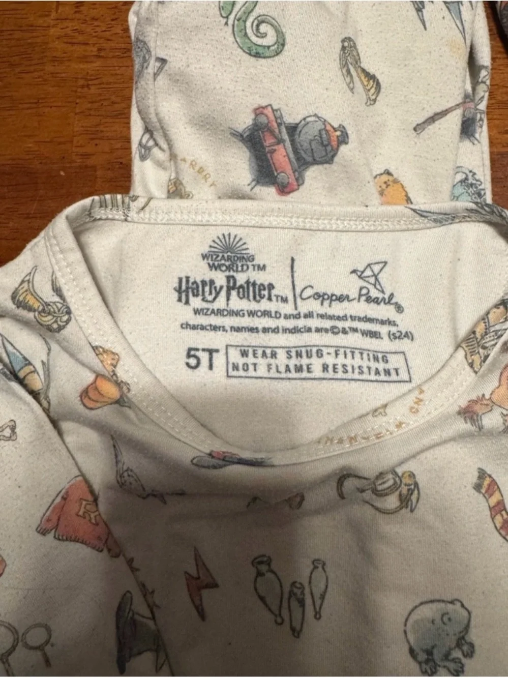 Copper Pearl Harry Potter Kids Long Sleeve Pajama Set